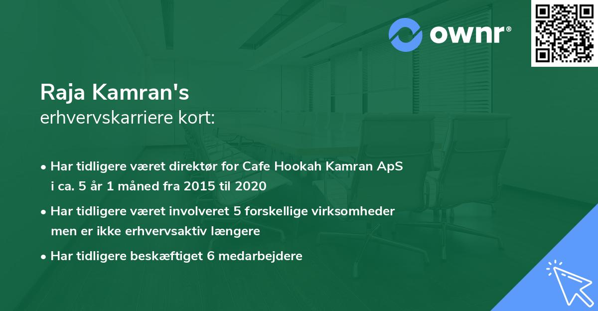 Raja Kamran's erhvervskarriere kort