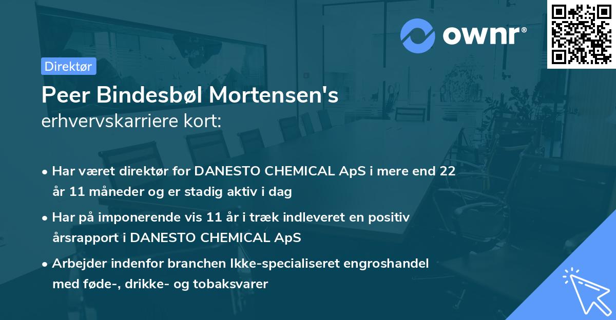 Peer Bindesbøl Mortensen's erhvervskarriere kort