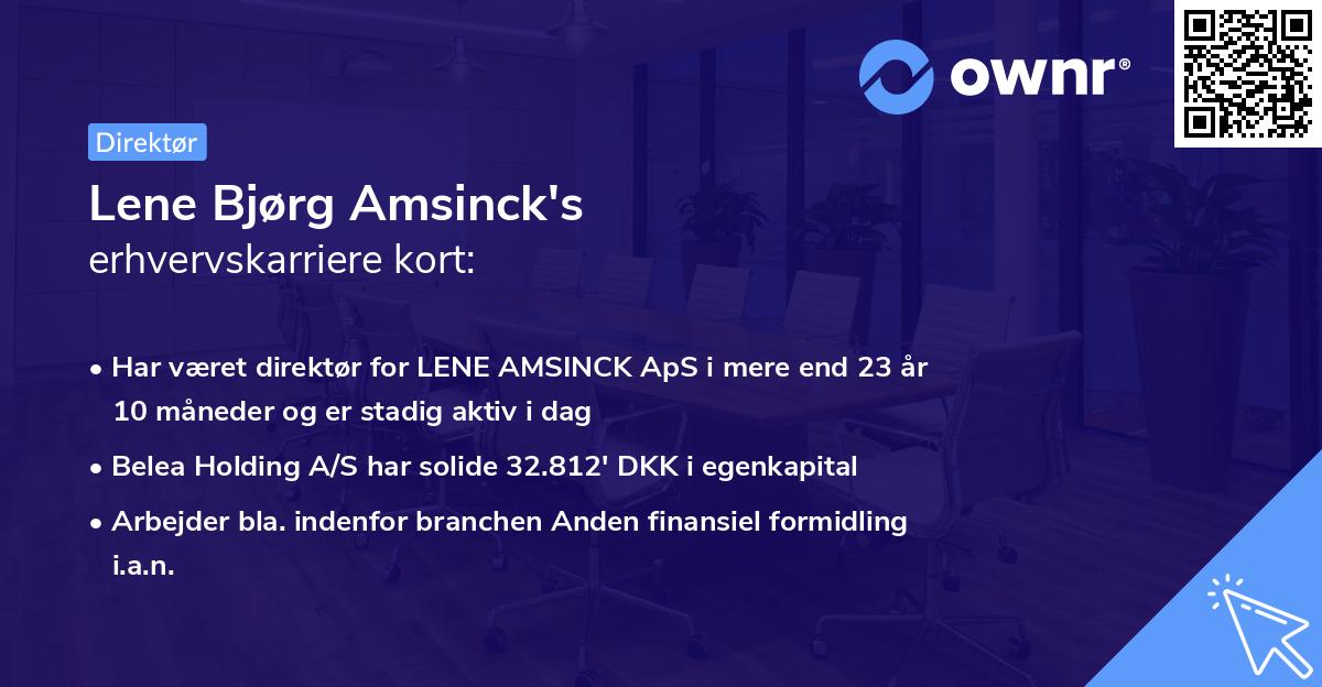 Lene Bjørg Amsinck's erhvervskarriere kort