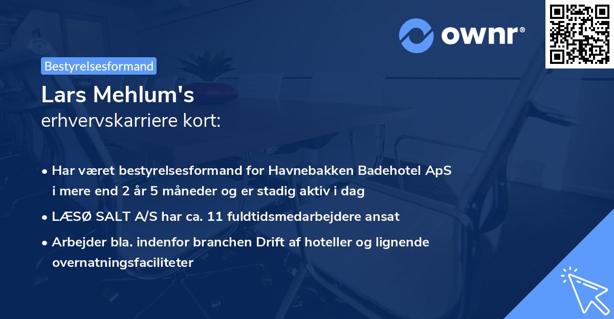 Lars Mehlum's erhvervskarriere kort