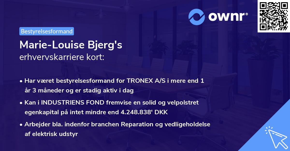 Marie-Louise Bjerg's erhvervskarriere kort
