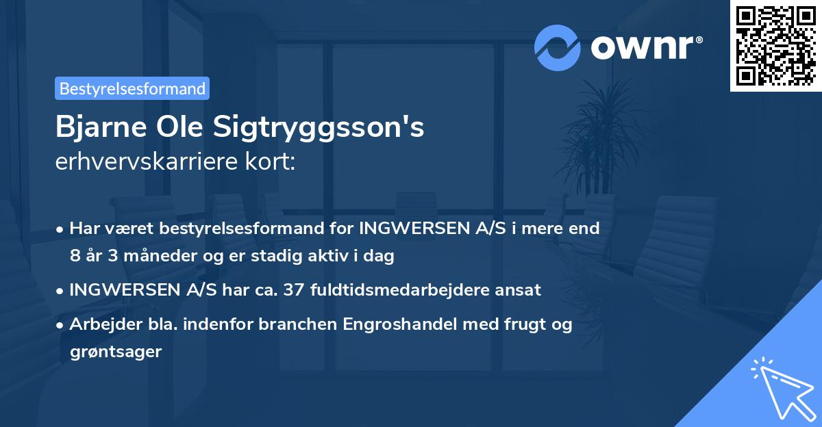 Bjarne Ole Sigtryggsson's erhvervskarriere kort