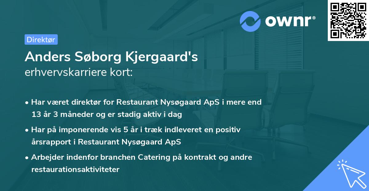 Anders Søborg Kjergaard's erhvervskarriere kort