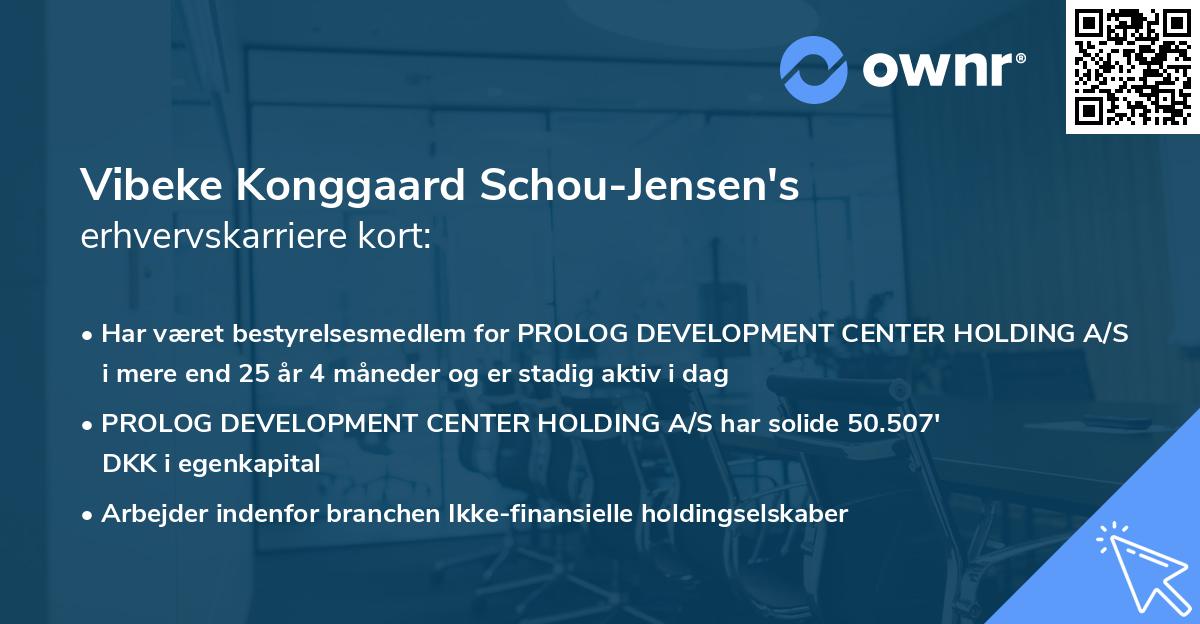 Vibeke Konggaard Schou-Jensen's erhvervskarriere kort