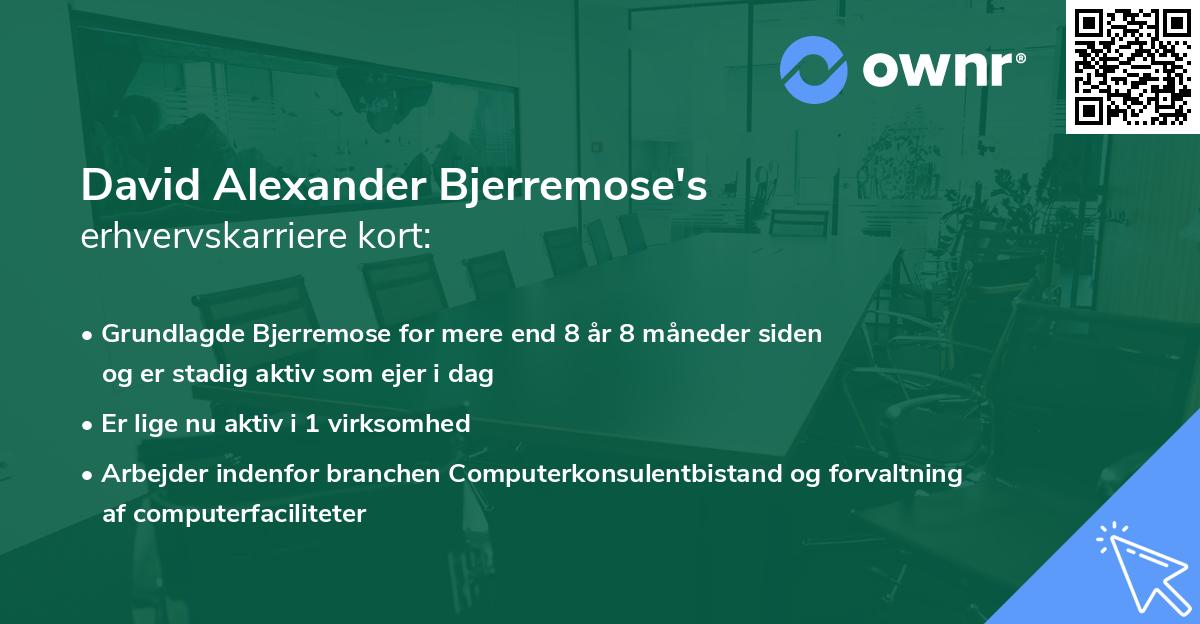 David Alexander Bjerremose's erhvervskarriere kort