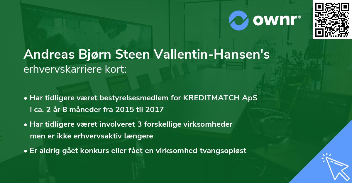 Andreas Bjørn Steen Vallentin-Hansen's erhvervskarriere kort