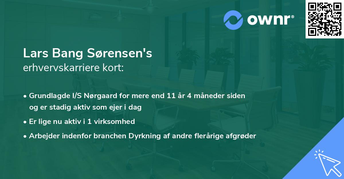 Lars Bang Sørensen's erhvervskarriere kort