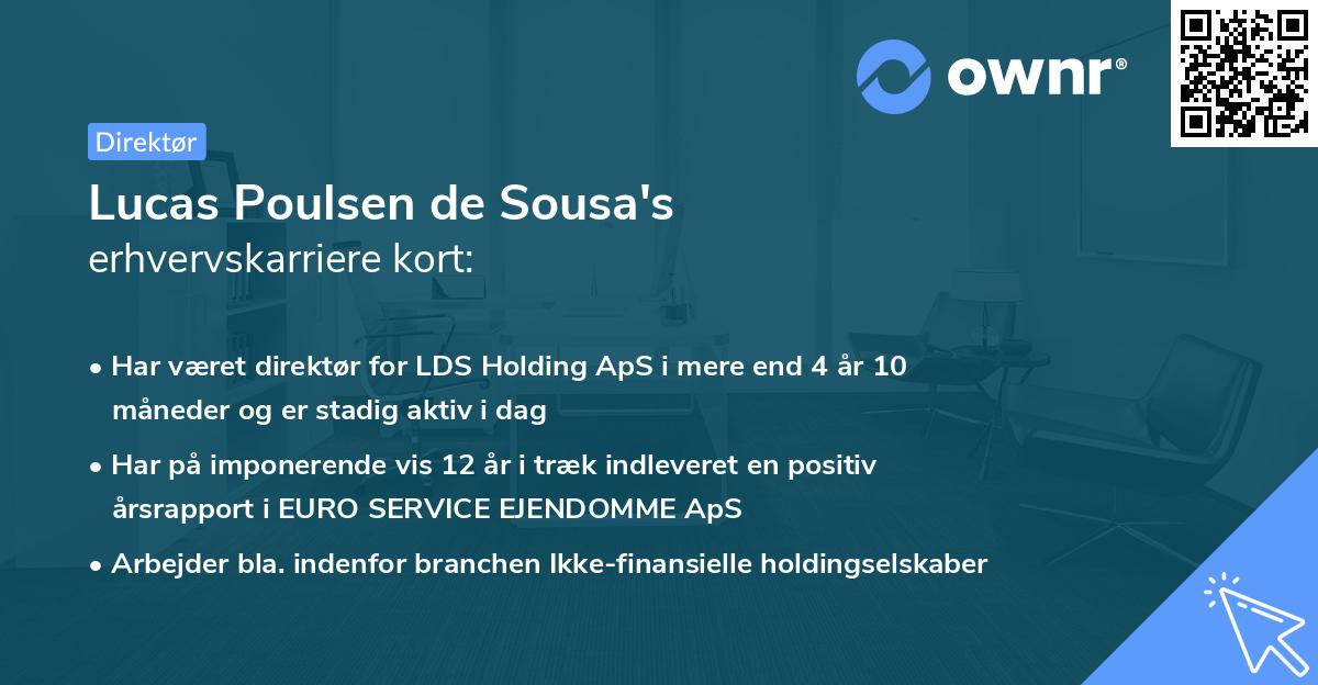 Lucas Poulsen de Sousa's erhvervskarriere kort