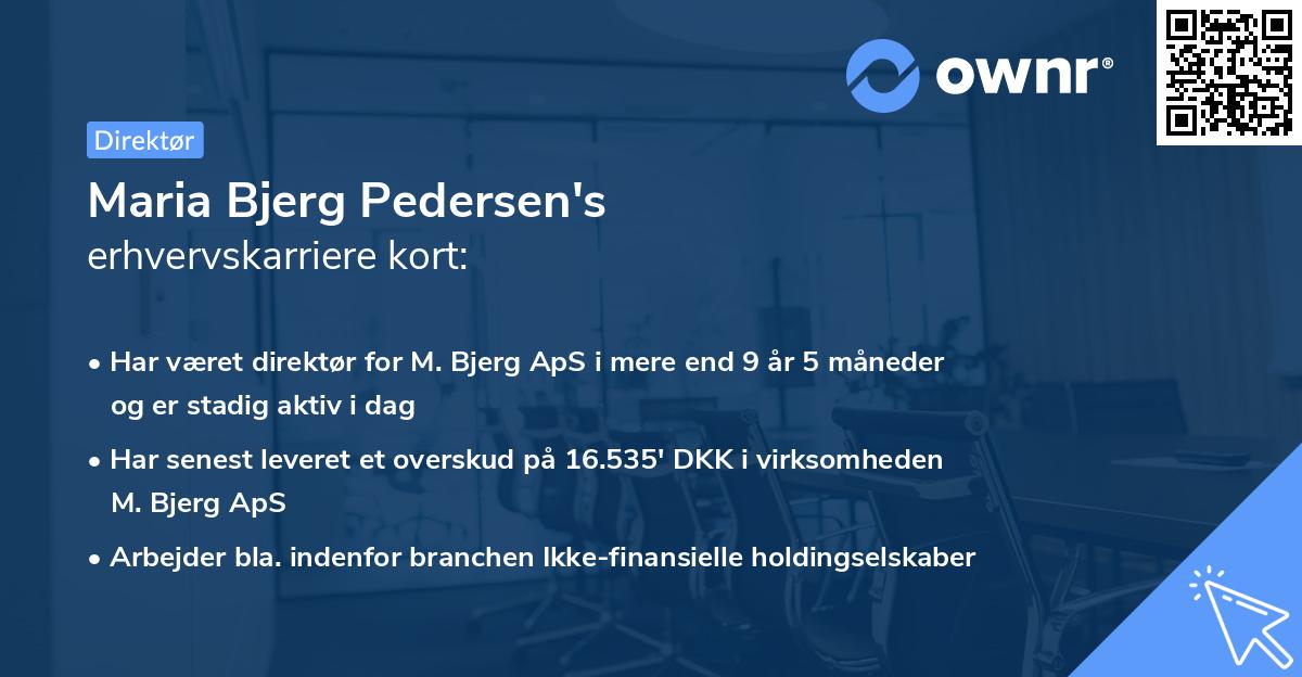 Maria Bjerg Pedersen's erhvervskarriere kort