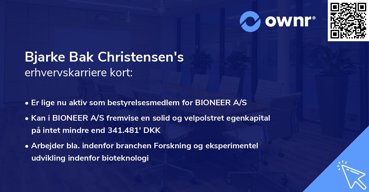 Bjarke Bak Christensen's erhvervskarriere kort