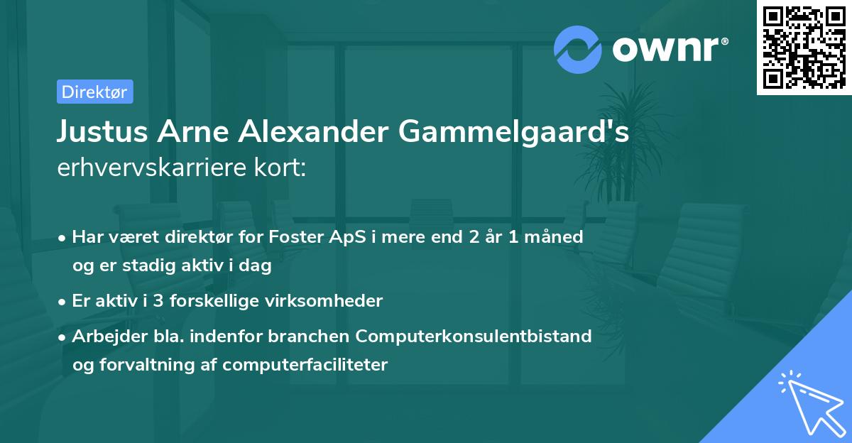 Justus Arne Alexander Gammelgaard's erhvervskarriere kort