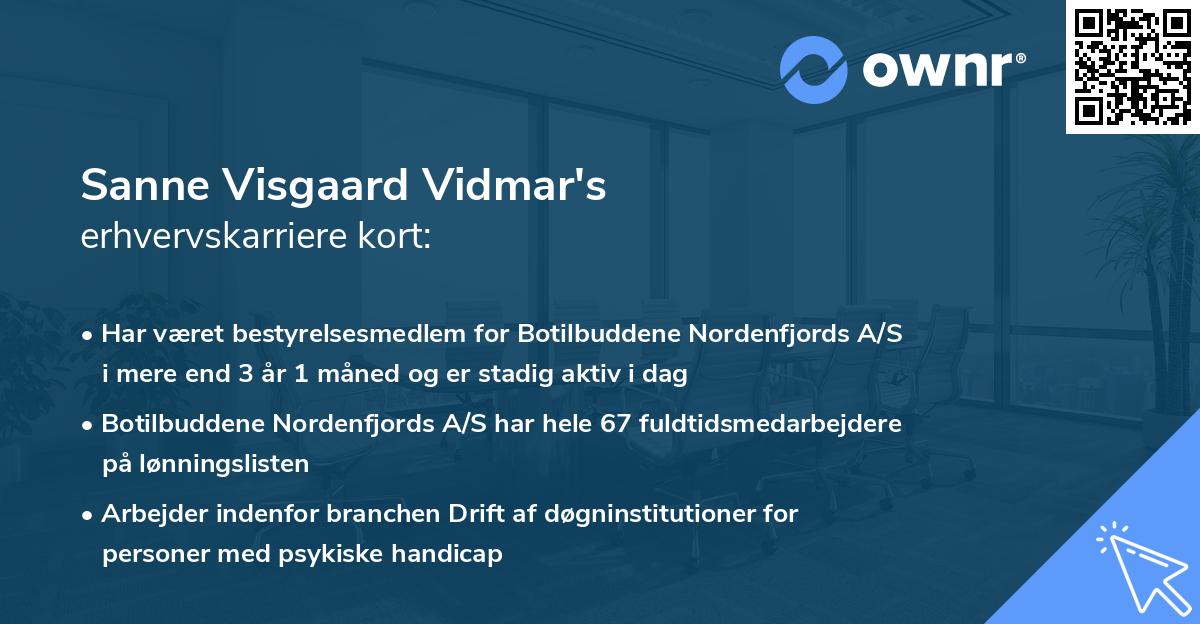 Sanne Visgaard Vidmar's erhvervskarriere kort