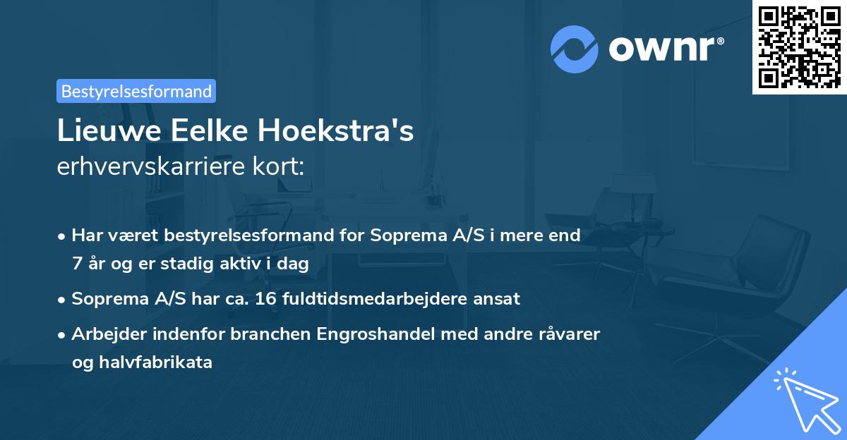 Lieuwe Eelke Hoekstra's erhvervskarriere kort