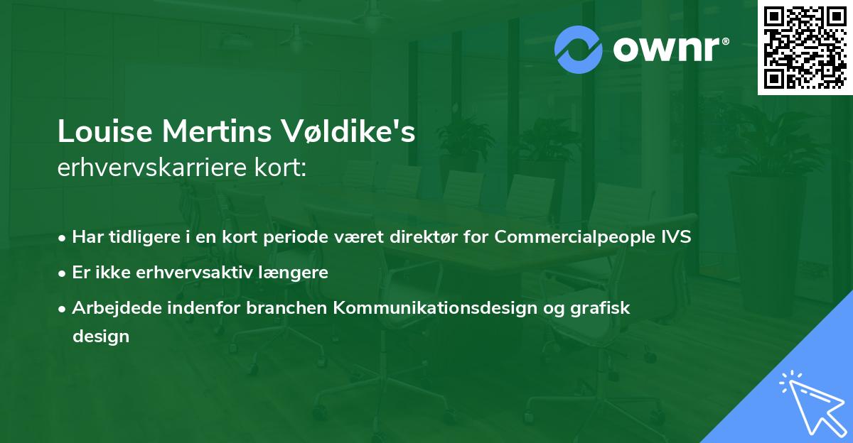 Louise Mertins Vøldike's erhvervskarriere kort