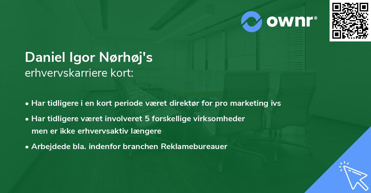 Daniel Igor Nørhøj's erhvervskarriere kort