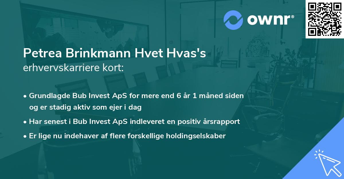 Petrea Brinkmann Hvet Hvas's erhvervskarriere kort