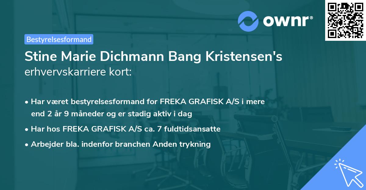 Stine Marie Dichmann Bang Kristensen's erhvervskarriere kort