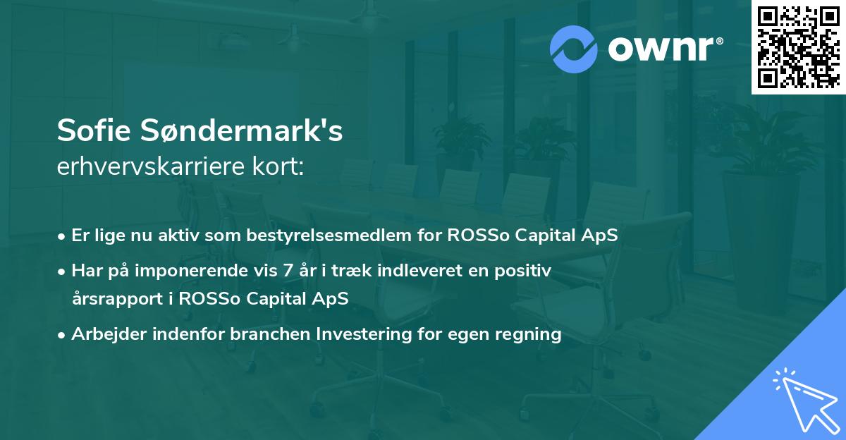 Sofie Søndermark's erhvervskarriere kort
