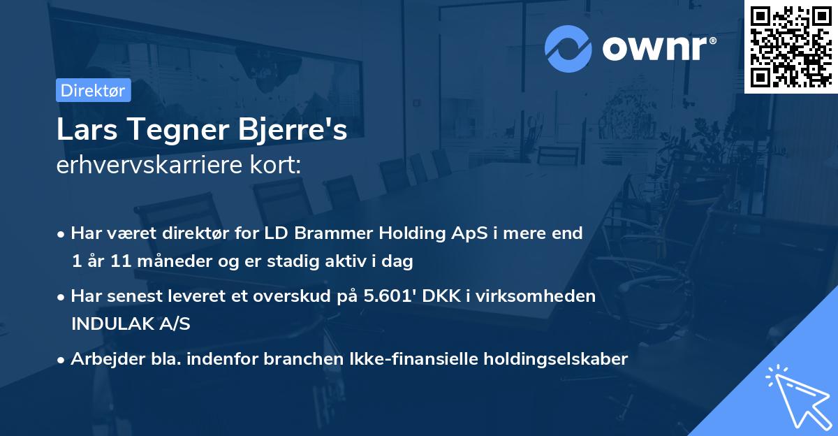 Lars Tegner Bjerre's erhvervskarriere kort
