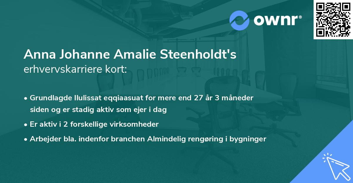 Anna Johanne Amalie Steenholdt's erhvervskarriere kort