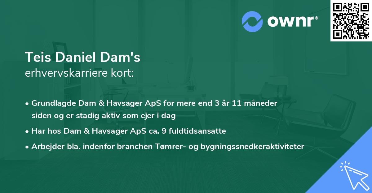 Teis Daniel Dam's erhvervskarriere kort
