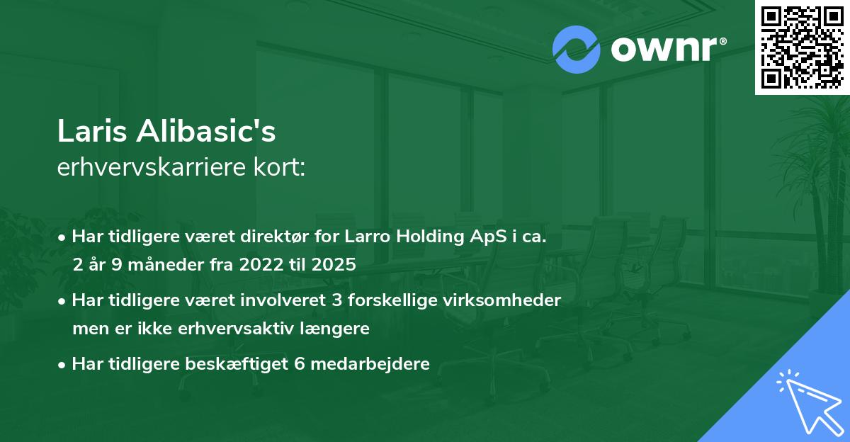 Laris Alibasic's erhvervskarriere kort