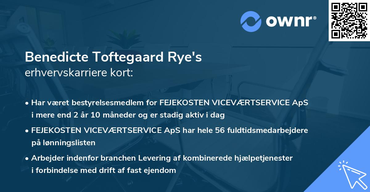 Benedicte Toftegaard Rye's erhvervskarriere kort