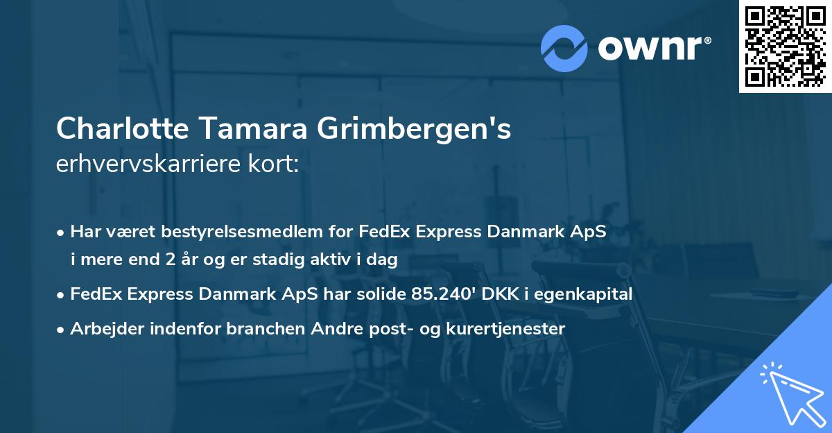 Charlotte Tamara Grimbergen's erhvervskarriere kort