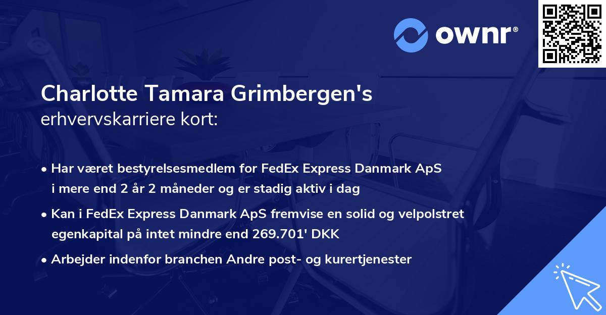 Charlotte Tamara Grimbergen's erhvervskarriere kort