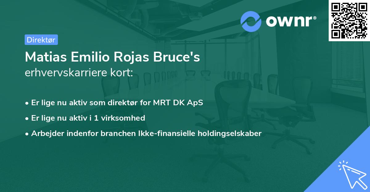 Matias Emilio Rojas Bruce's erhvervskarriere kort