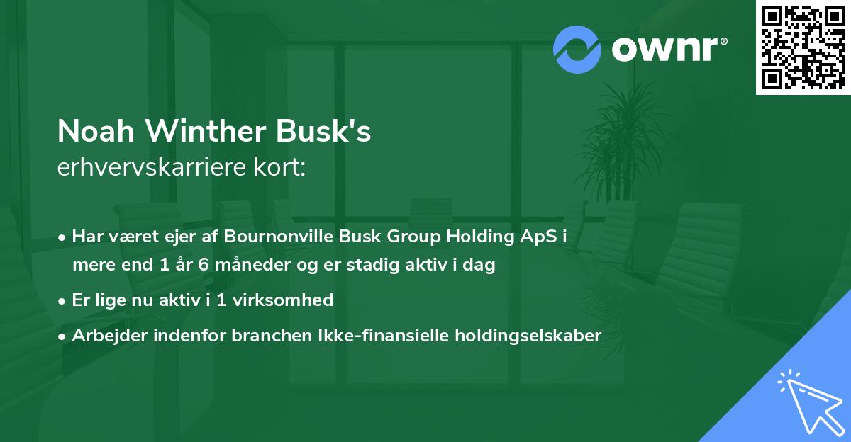 Noah Winther Busk's erhvervskarriere kort