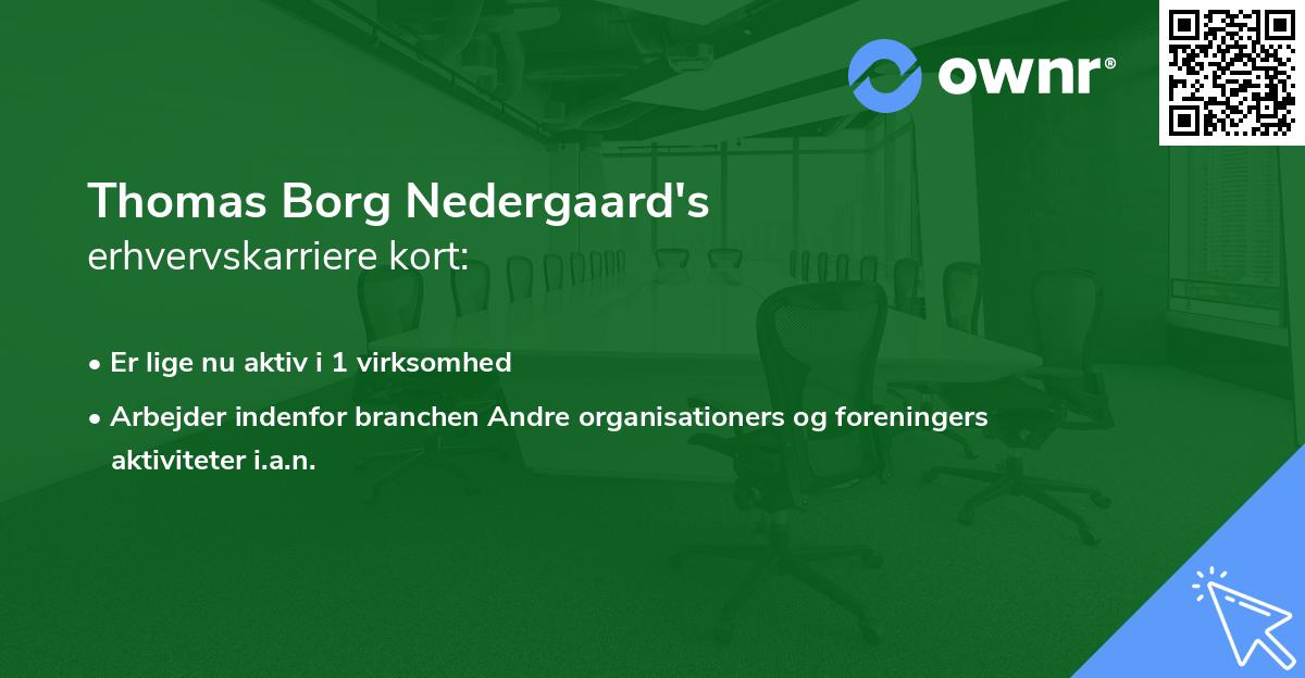 Thomas Borg Nedergaard's erhvervskarriere kort