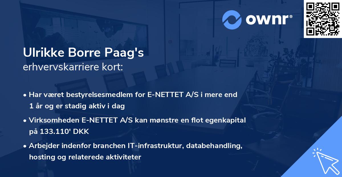 Ulrikke Borre Paag's erhvervskarriere kort