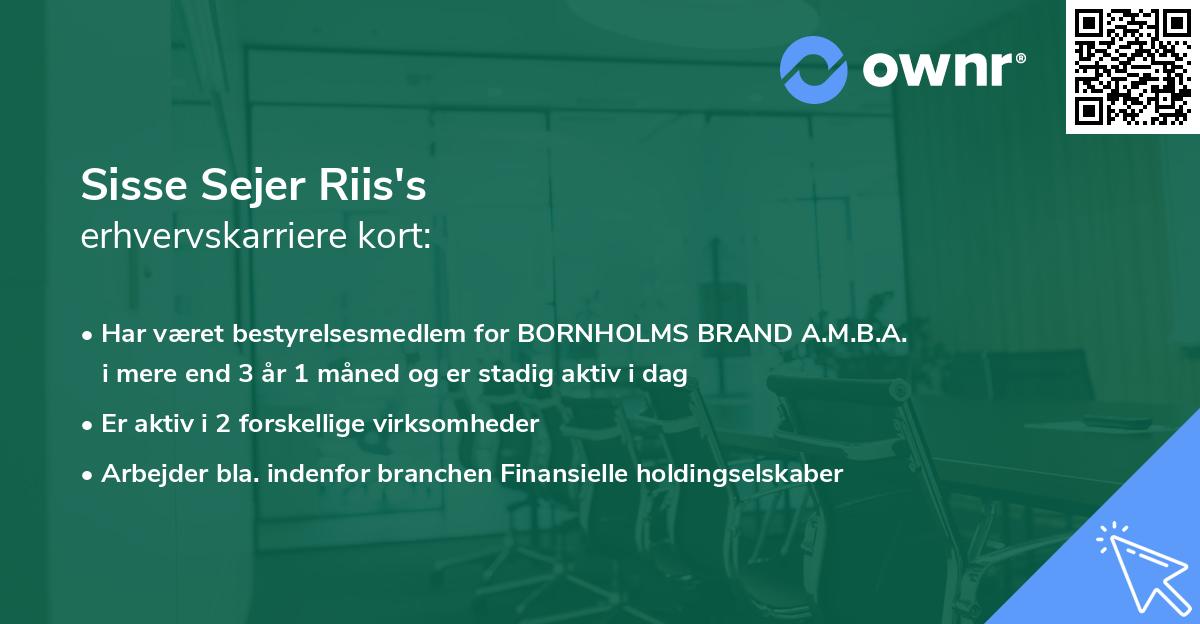 Sisse Sejer Riis's erhvervskarriere kort