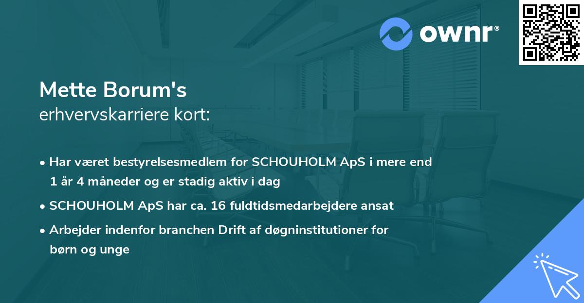 Mette Borum's erhvervskarriere kort