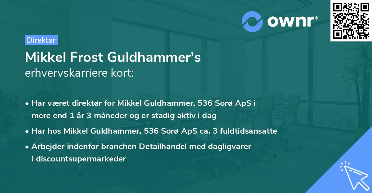 Mikkel Frost Guldhammer's erhvervskarriere kort