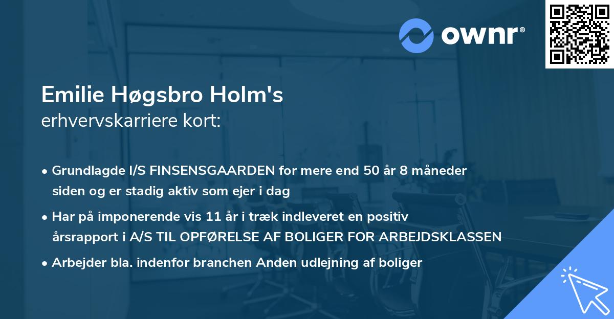 Emilie Høgsbro Holm's erhvervskarriere kort