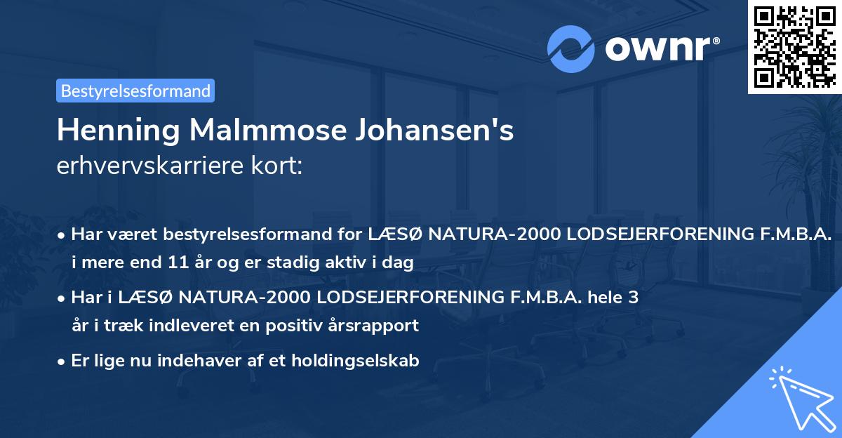 Henning Malmmose Johansen's erhvervskarriere kort