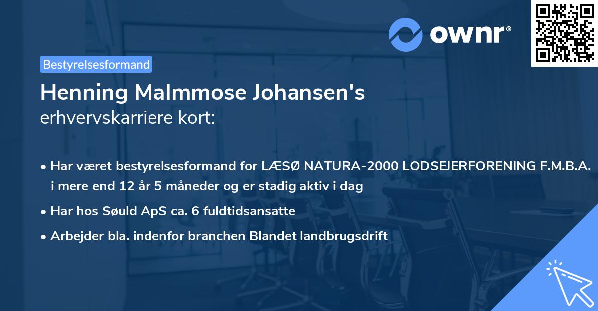 Henning Malmmose Johansen's erhvervskarriere kort