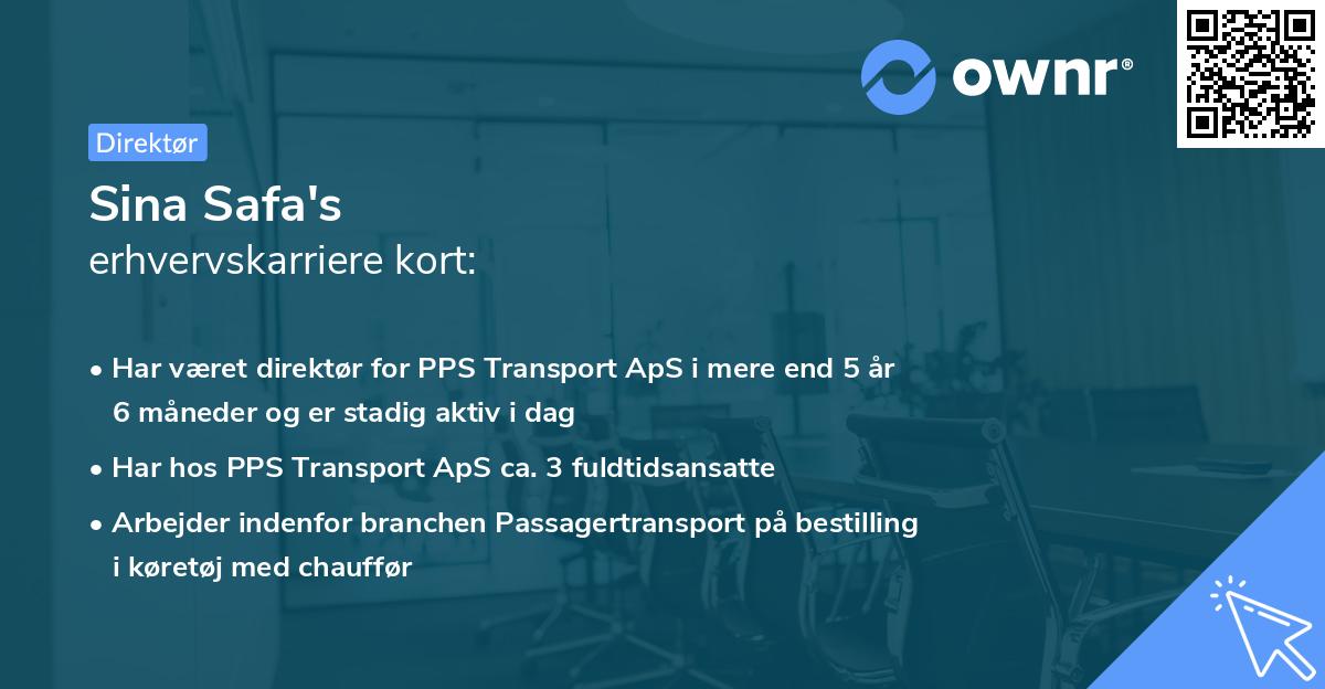 Sina Safa's erhvervskarriere kort