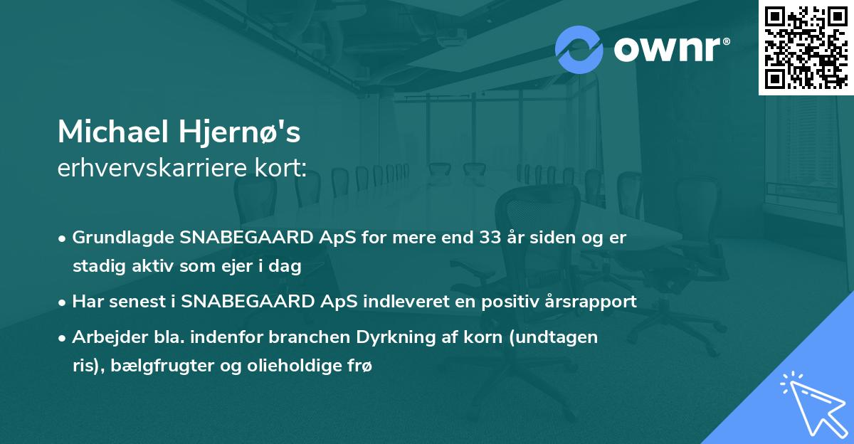 Michael Hjernø's erhvervskarriere kort