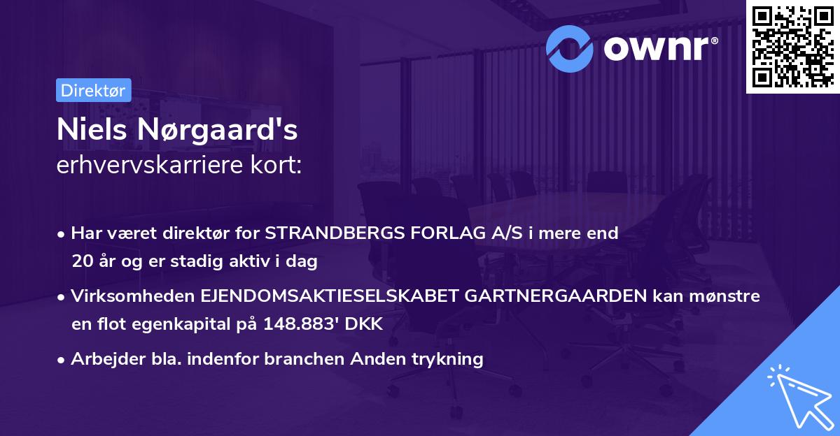 Niels Nørgaard's erhvervskarriere kort