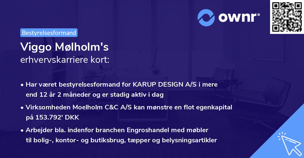 Viggo Mølholm's erhvervskarriere kort