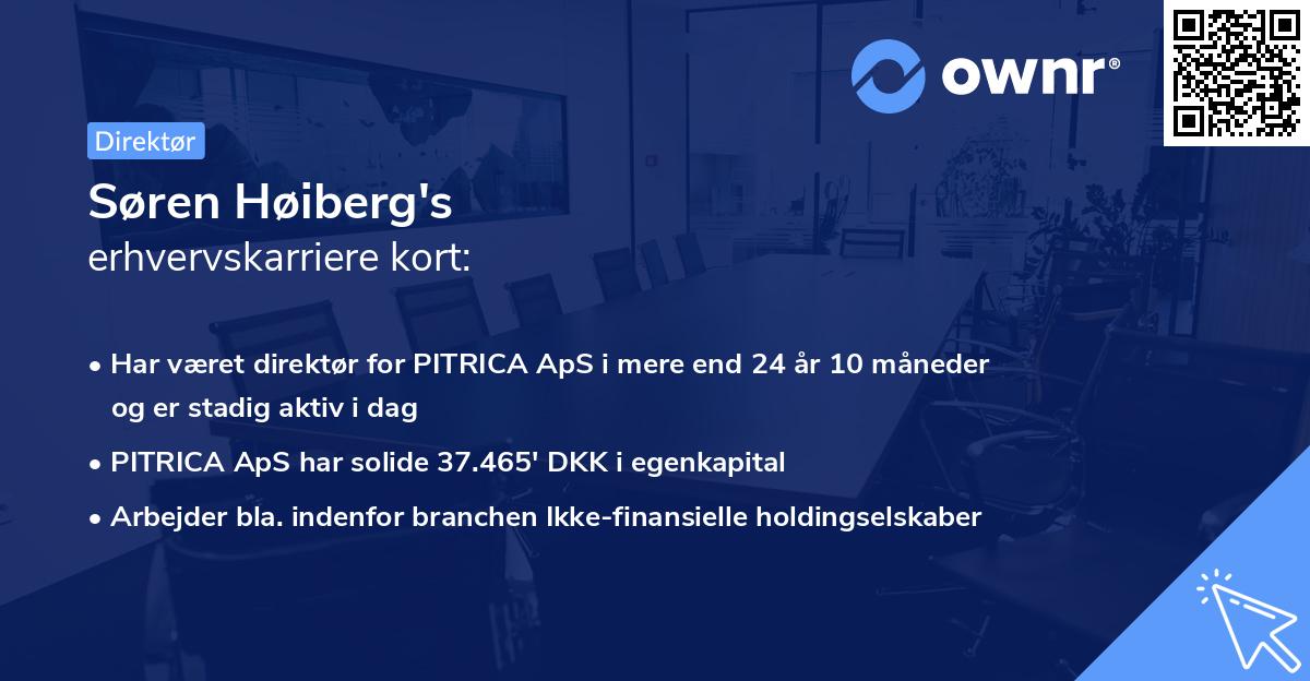 Søren Høiberg's erhvervskarriere kort