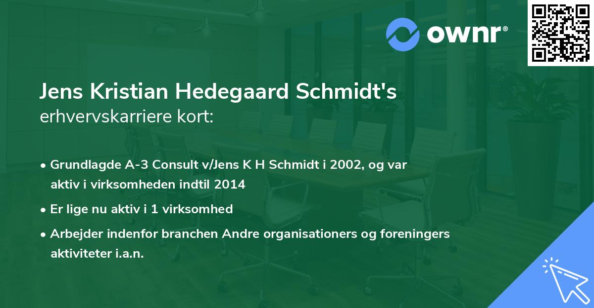 Jens Kristian Hedegaard Schmidt's erhvervskarriere kort