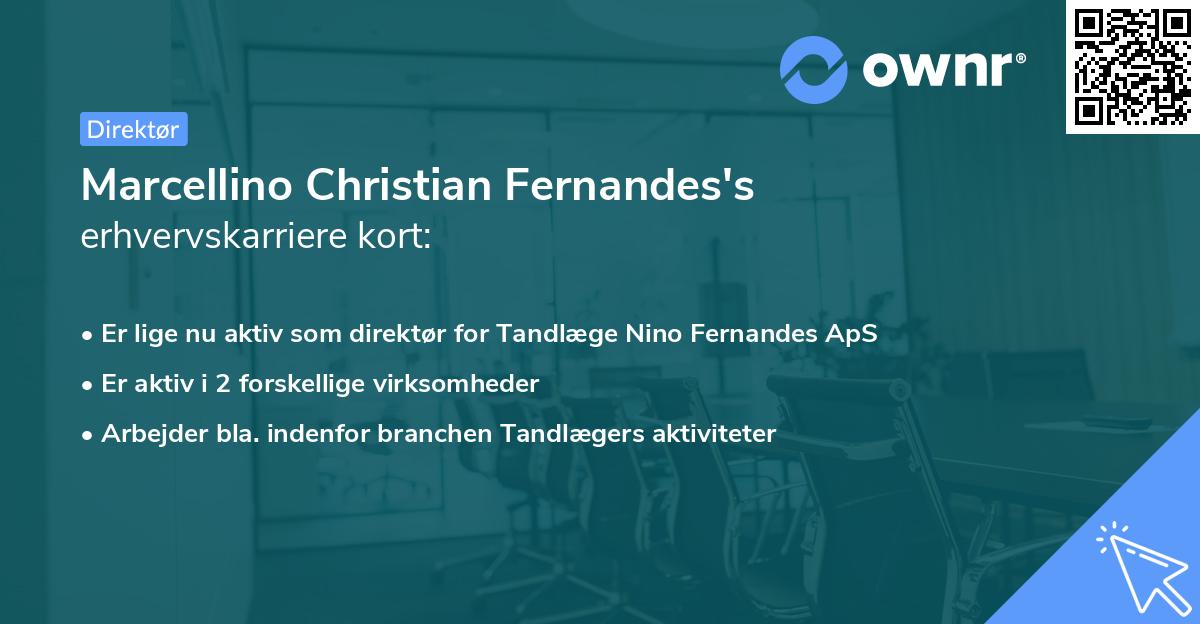 Marcellino Christian Fernandes's erhvervskarriere kort