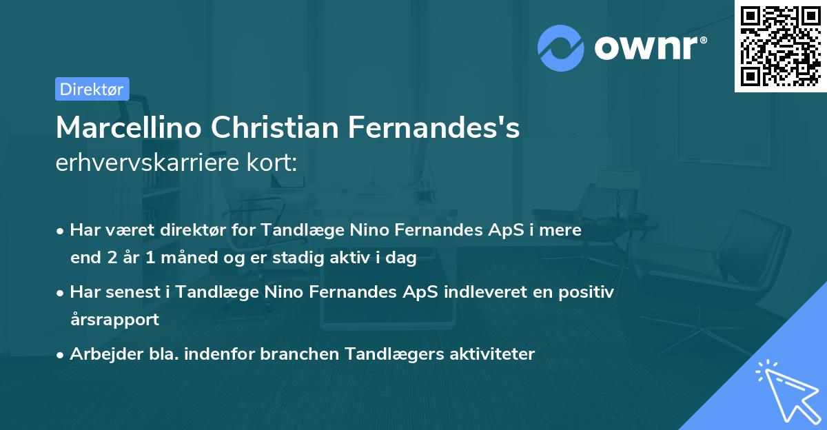 Marcellino Christian Fernandes's erhvervskarriere kort