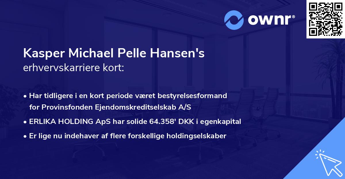 Kasper Michael Pelle Hansen's erhvervskarriere kort