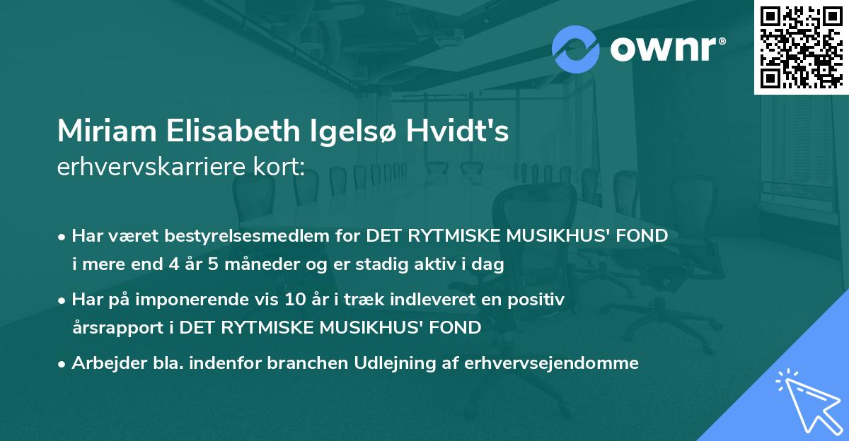 Miriam Elisabeth Igelsø Hvidt's erhvervskarriere kort