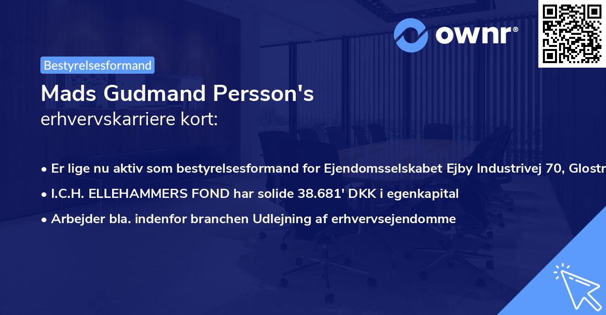 Mads Gudmand Persson's erhvervskarriere kort